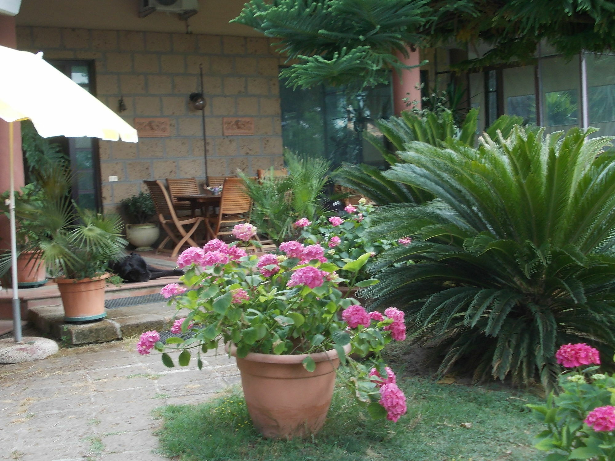 Bellavista Country House Pescara Exterior photo
